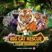 Big  Cat  Rescue